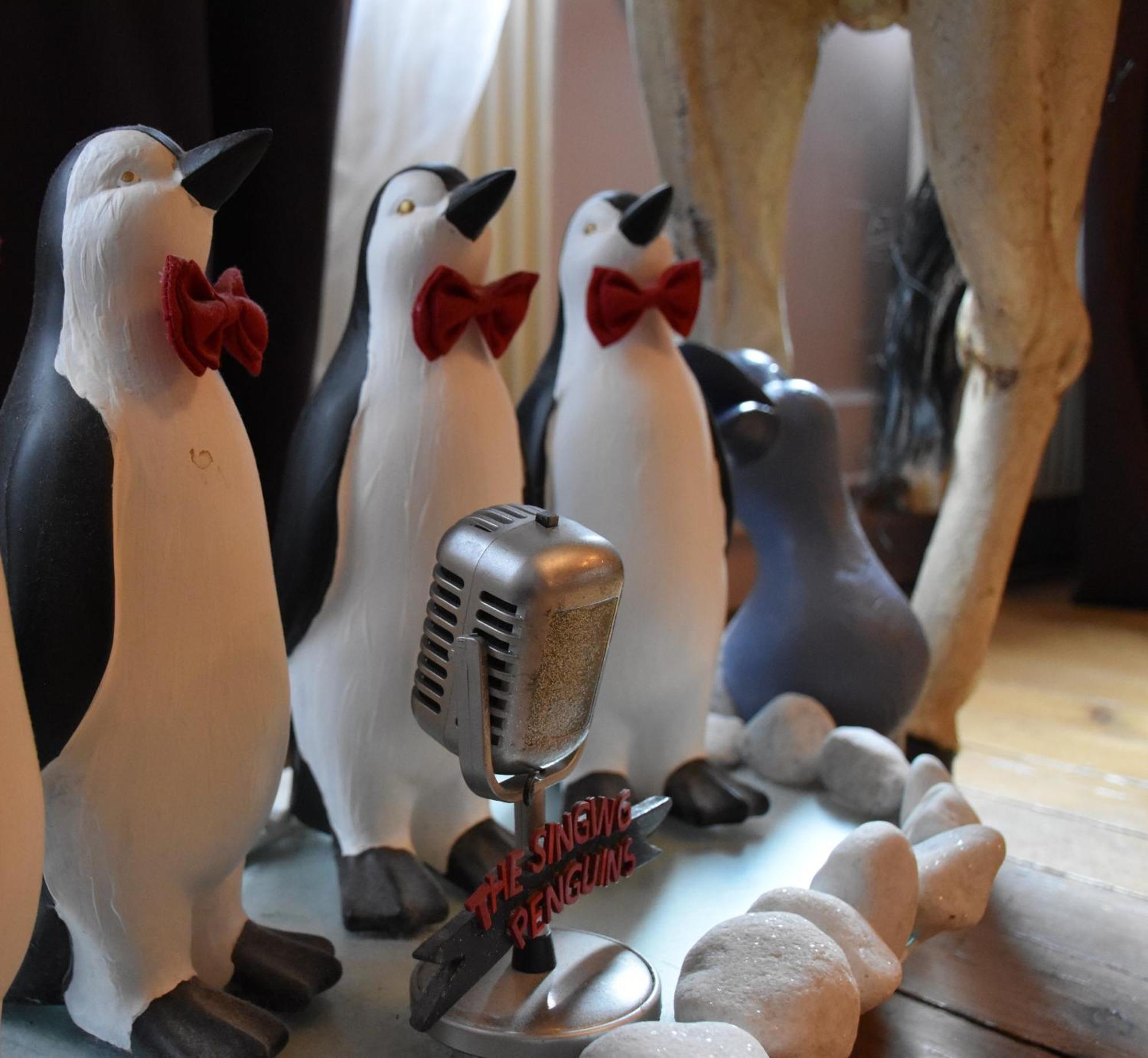Suivez Le Lapin Blanc-bb D'hotes Saint-Valery-sur-Somme